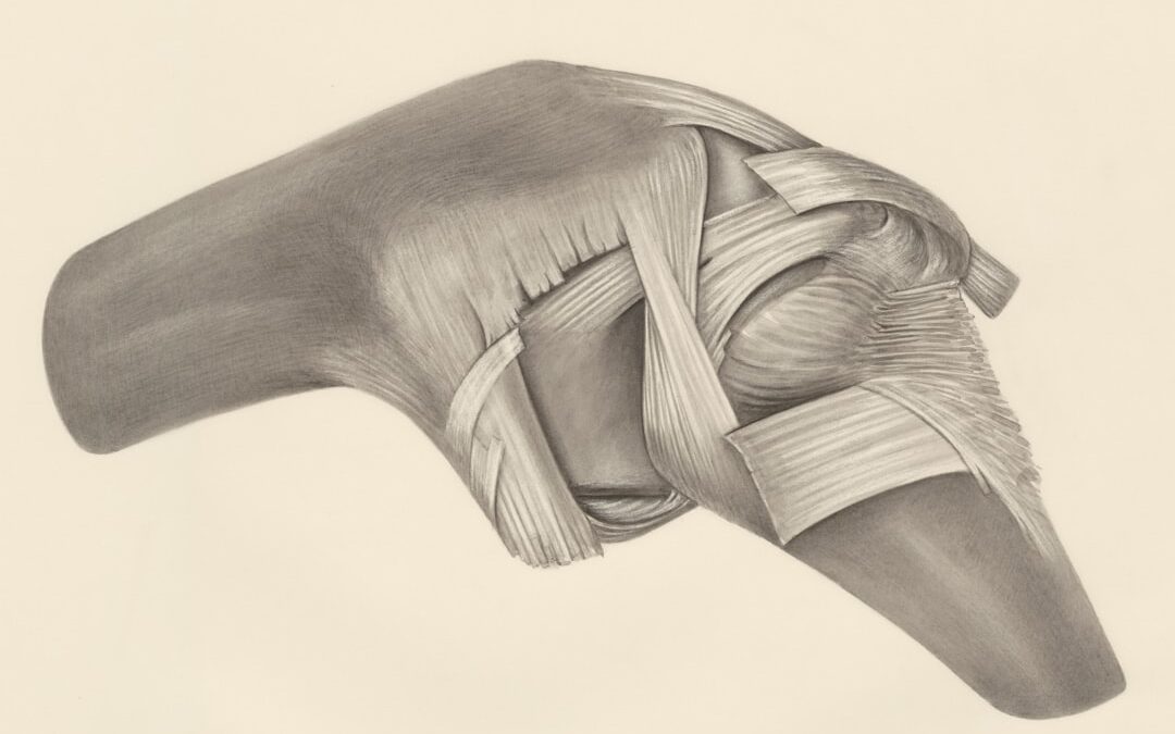 Photo Knee pain