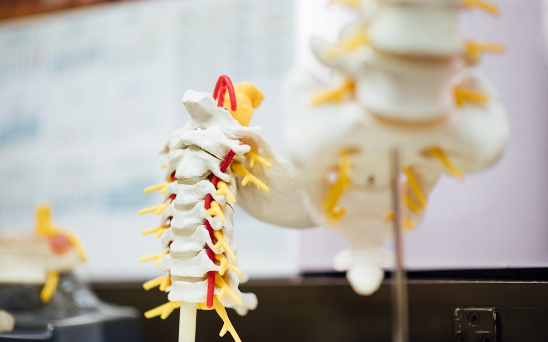 Photo Spinal brace