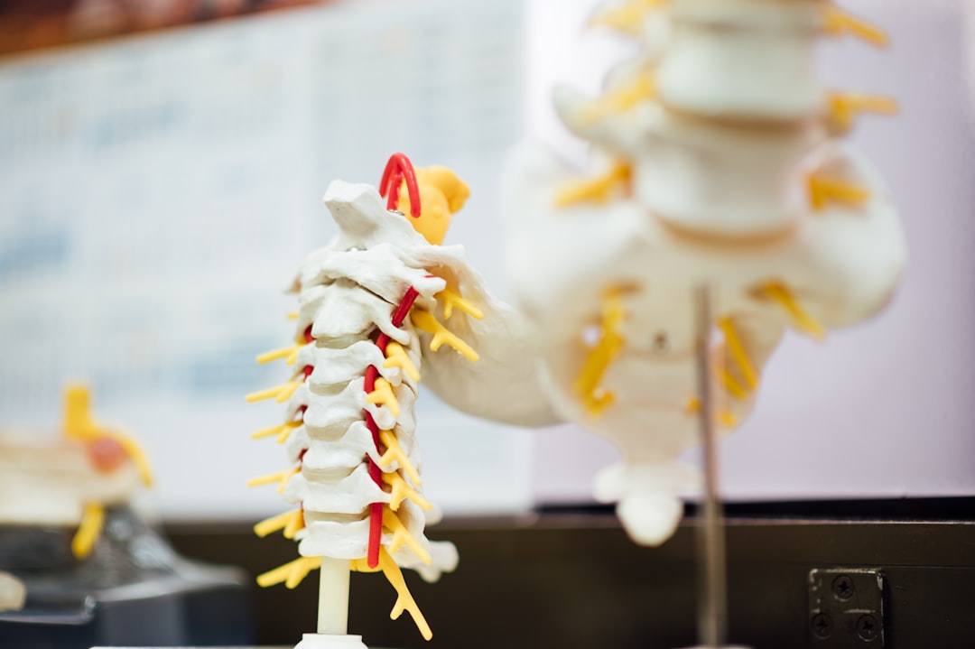 Photo Spinal brace