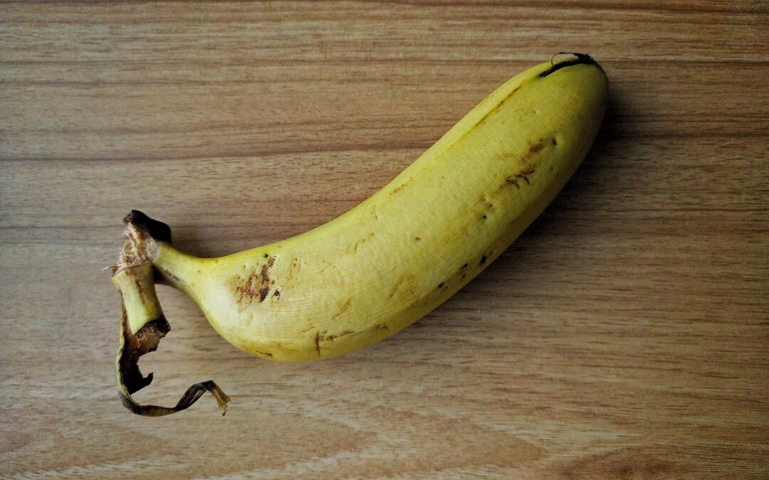 Photo Digestive system