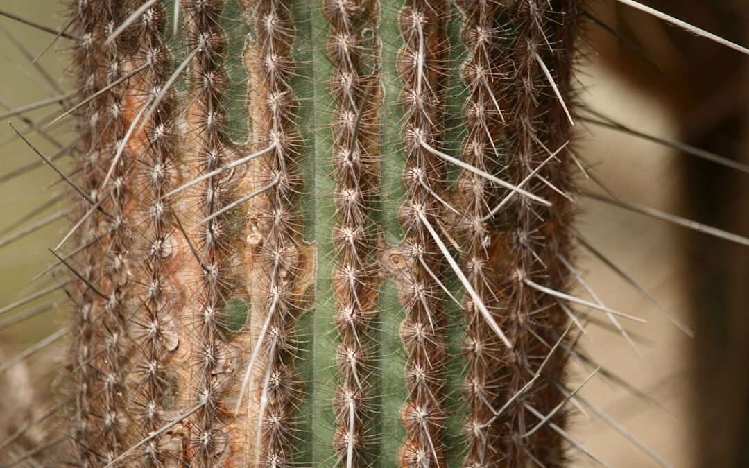 Photo Oily scalp