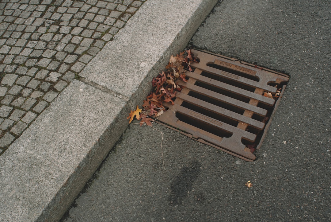 Photo Clogged drain