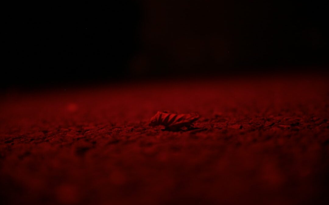 Photo Red rash