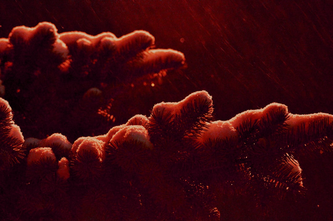 Photo Rash outbreak