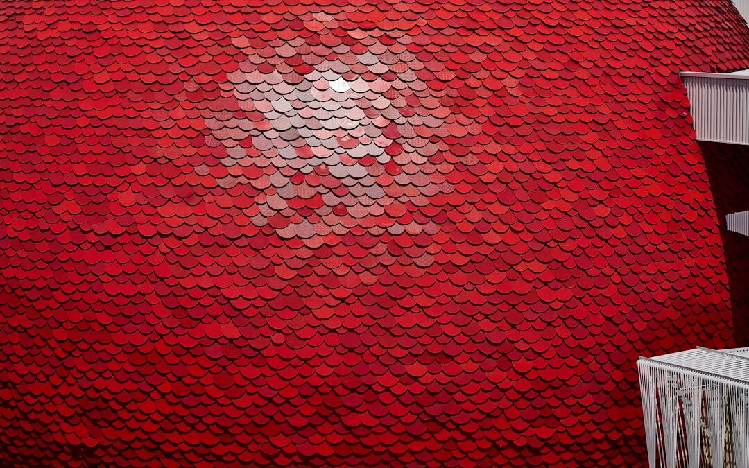 Photo Red rash