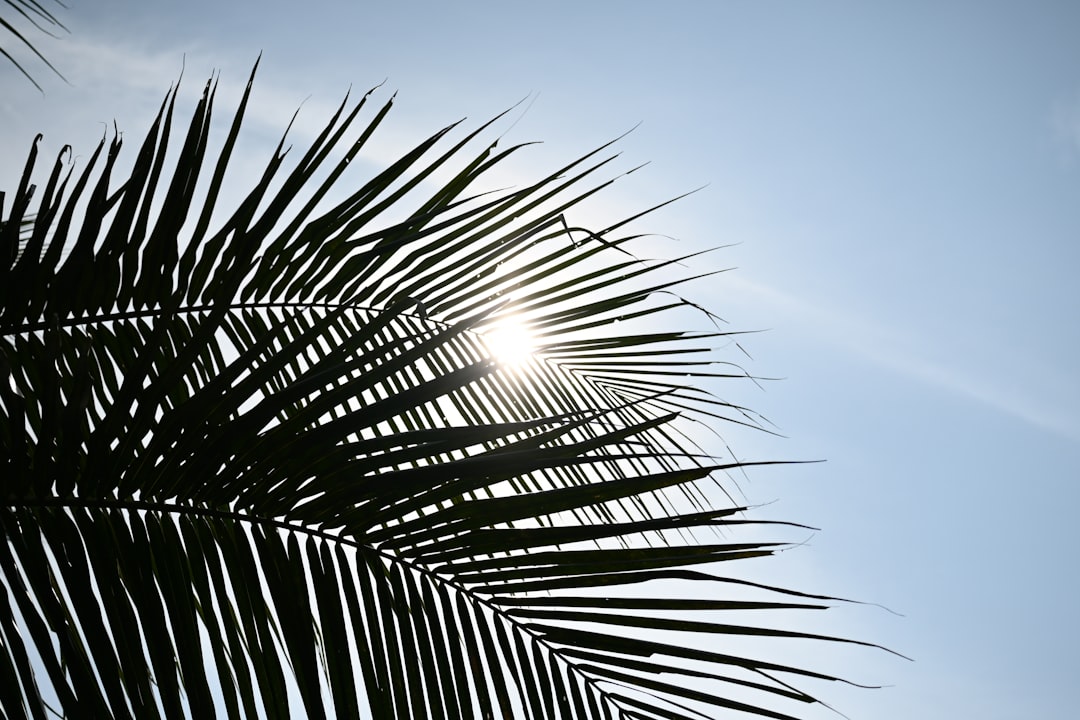 Photo Sunburn relief