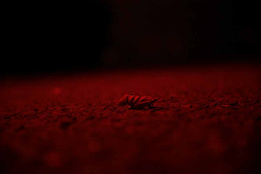 Photo Red rash