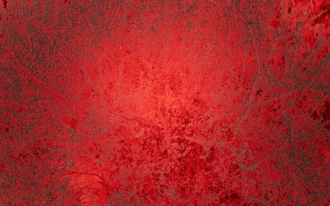 Photo Red rash