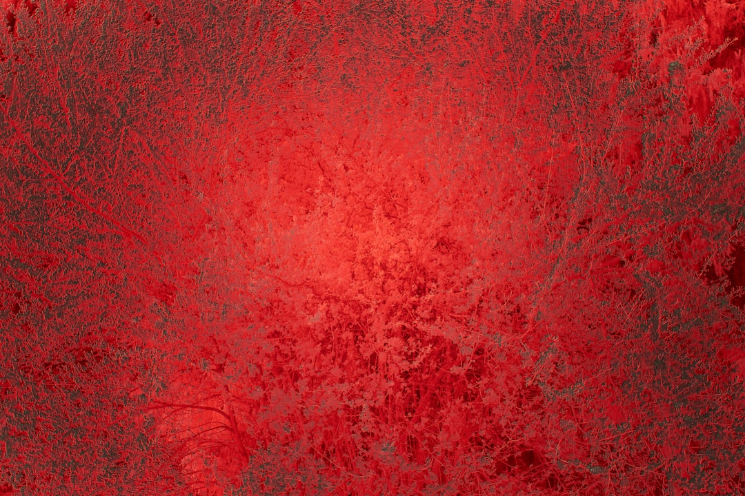 Photo Red rash