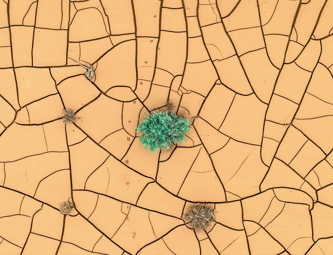 Photo Epidemiological map