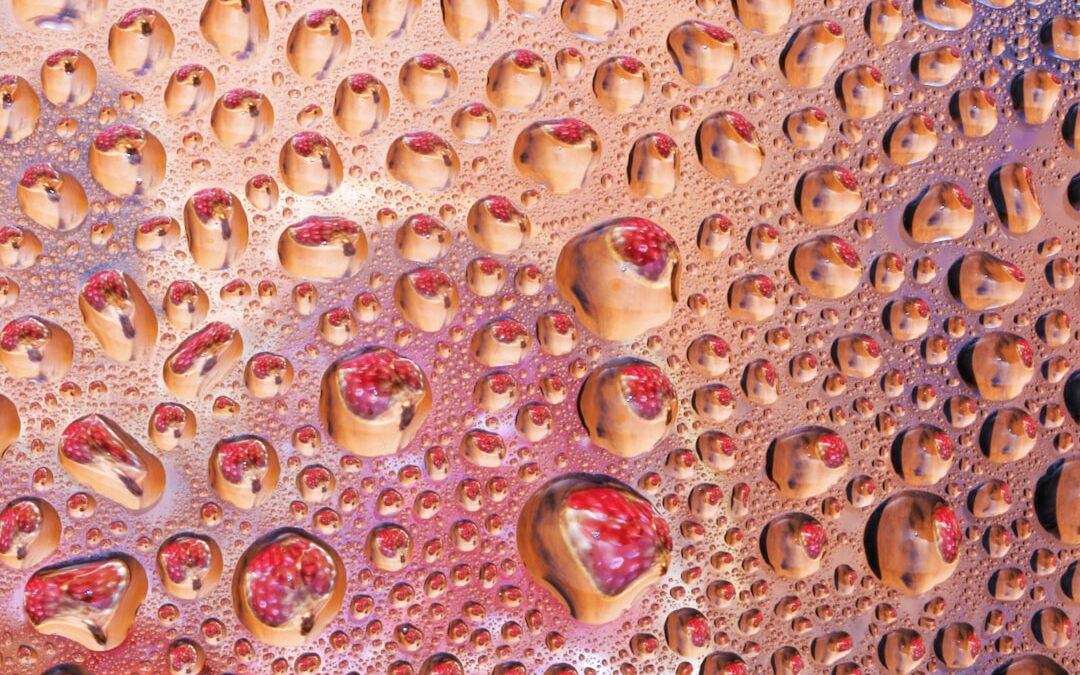 Photo Probiotic drops