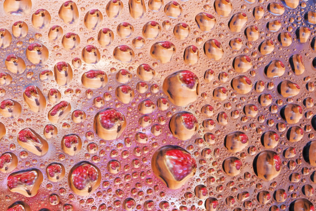 Photo Probiotic drops