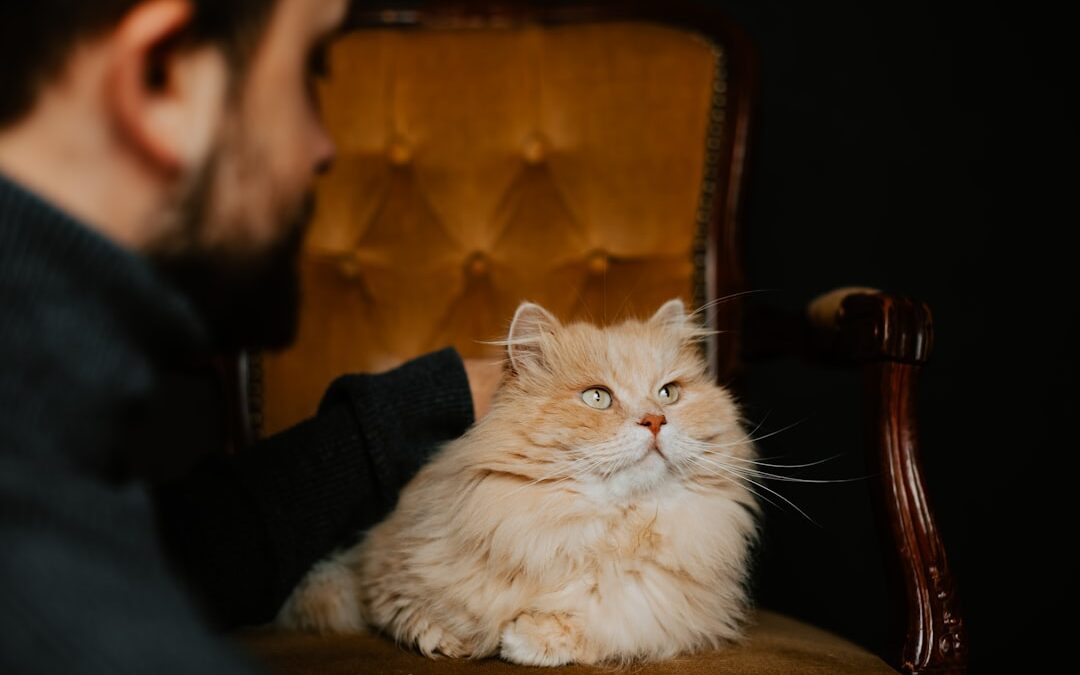 Photo Therapist assisting