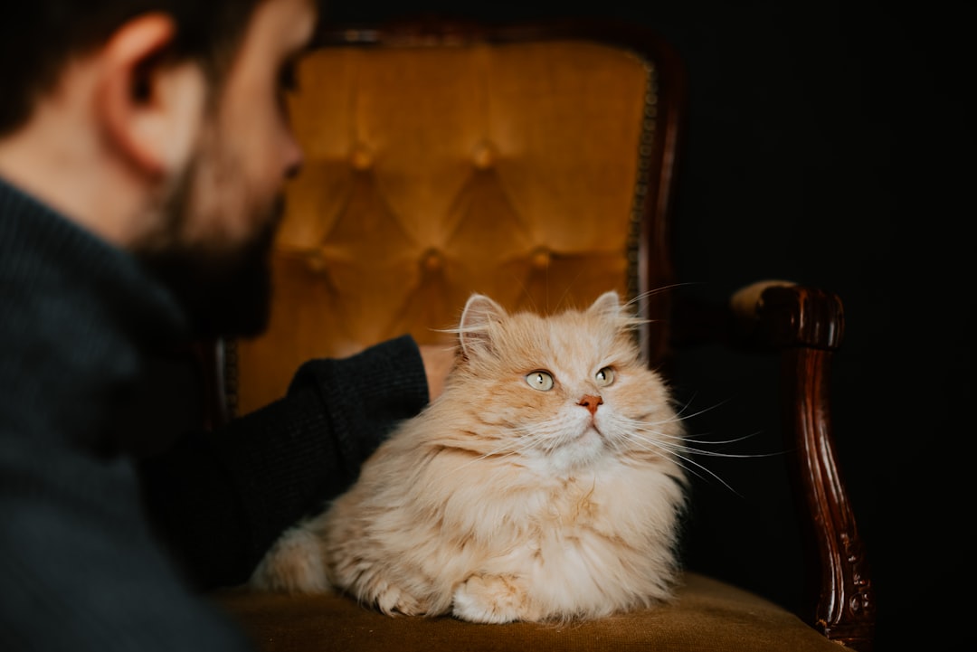 Photo Therapist assisting