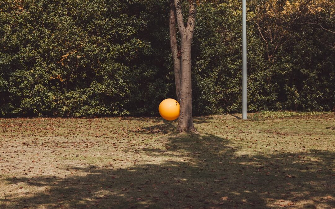 Photo Exercise ball