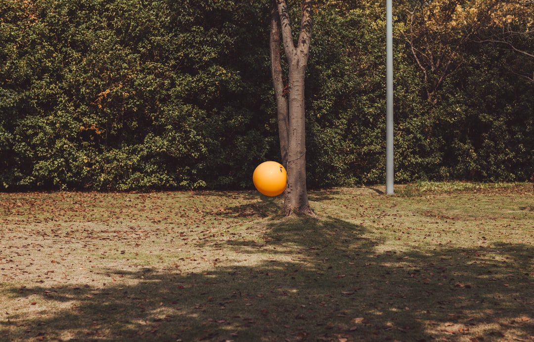 Photo Exercise ball