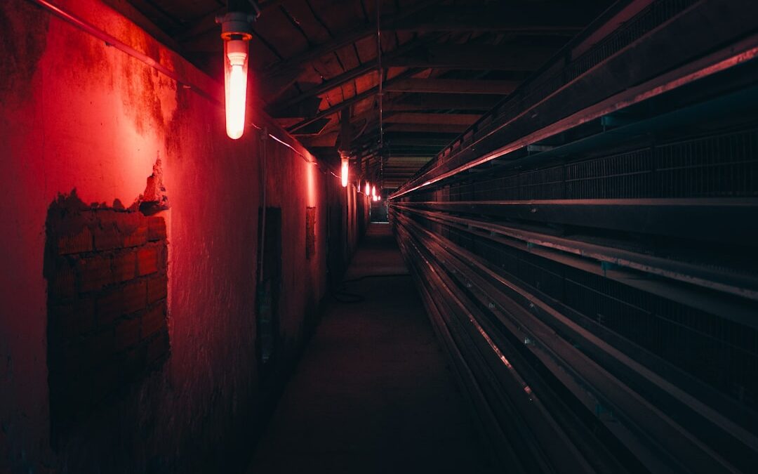 Photo Incubator