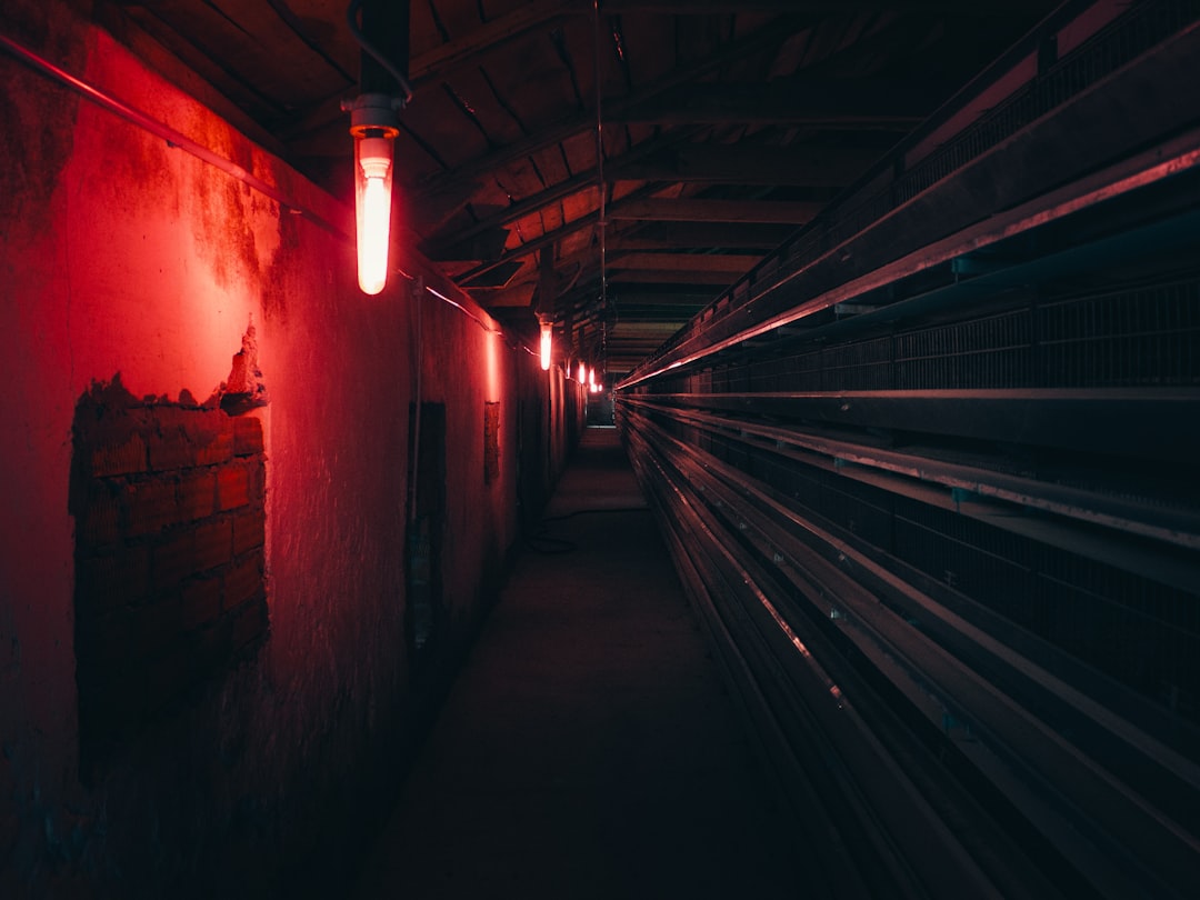 Photo Incubator