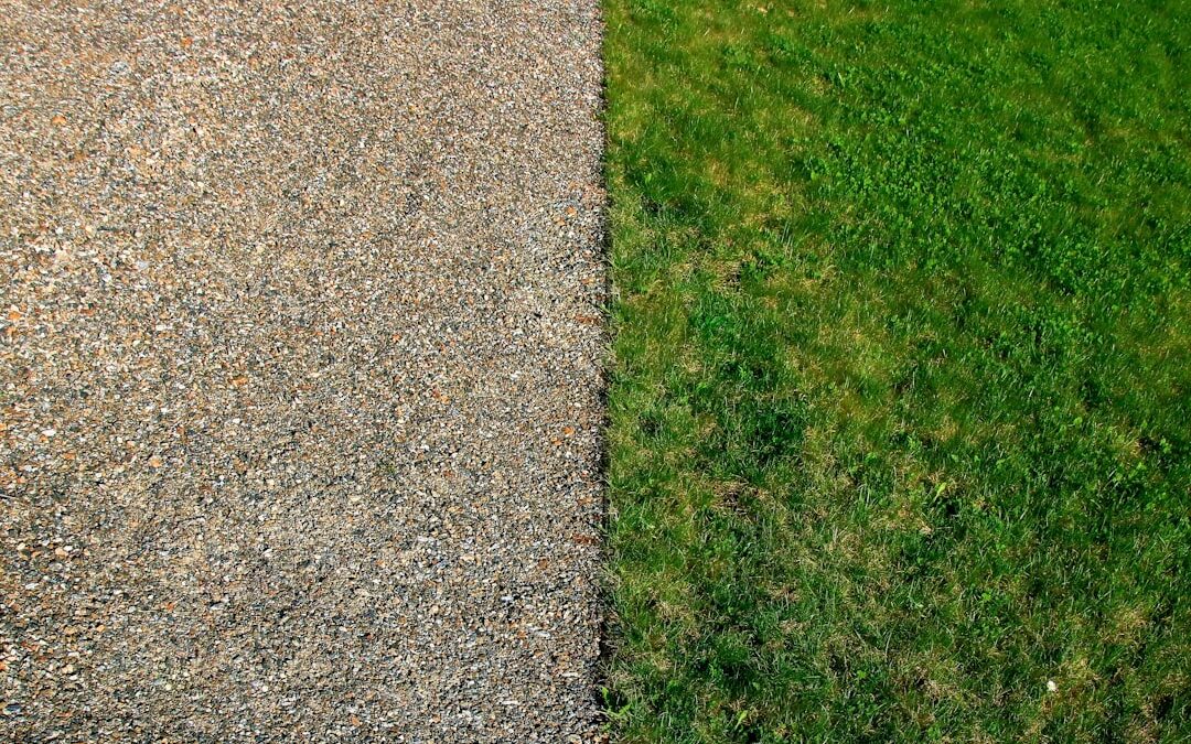Photo Before/After