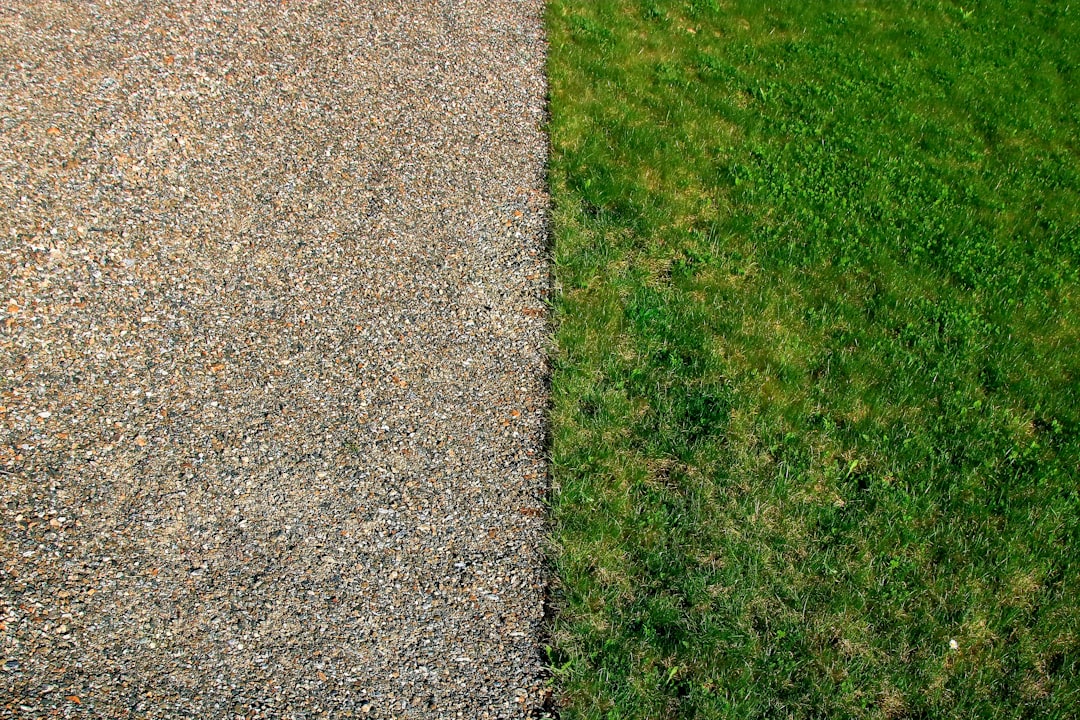 Photo Before/After