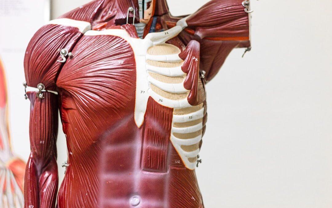 Photo Digestive system