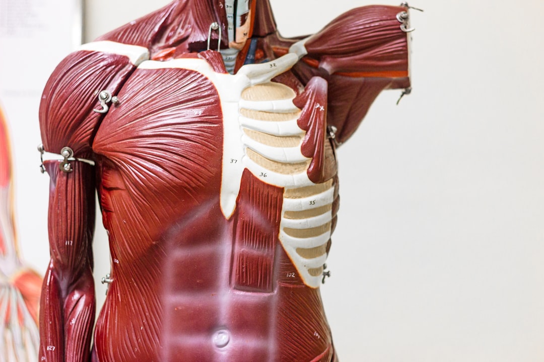 Photo Digestive system