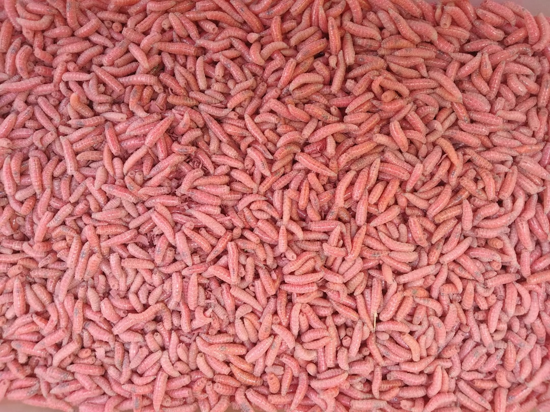 Photo Fiber supplement
