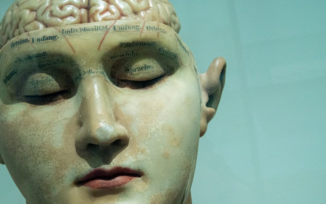Photo Brain scan