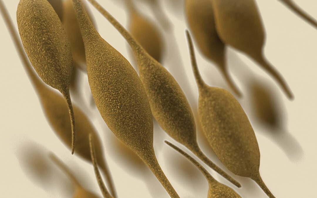 Photo Bacteria growth