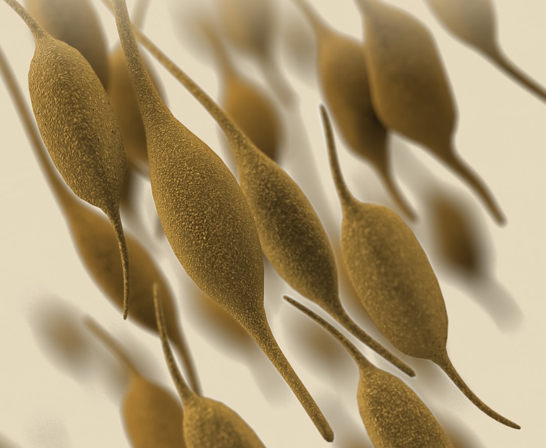 Photo Bacteria growth