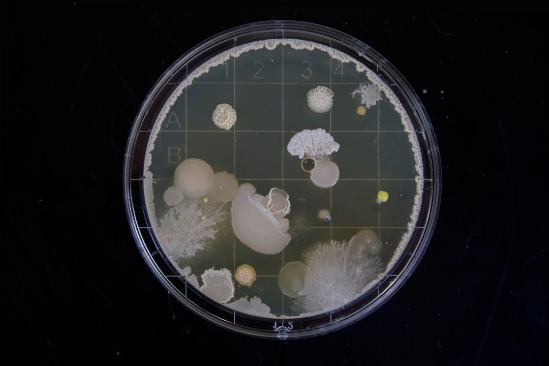 Photo Bacteria growth