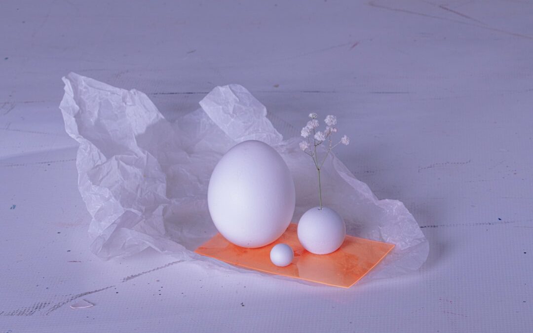 Photo Salmonella-infected egg