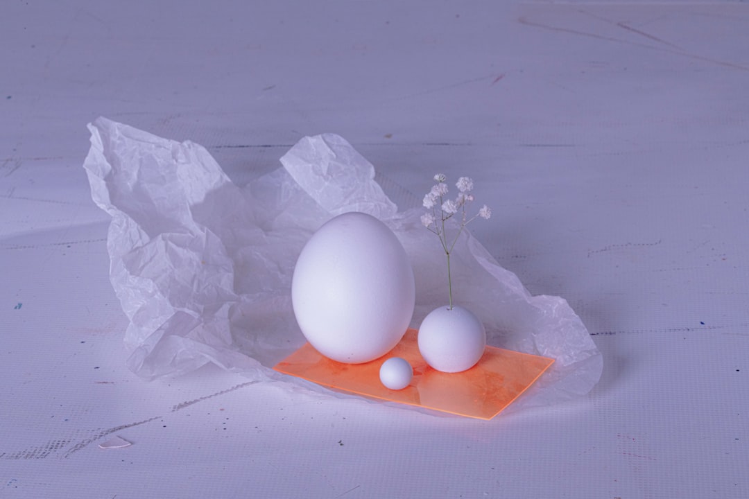 Photo Salmonella-infected egg