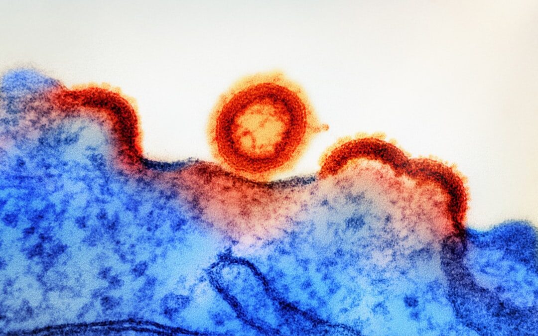 Photo Bacteria illustration