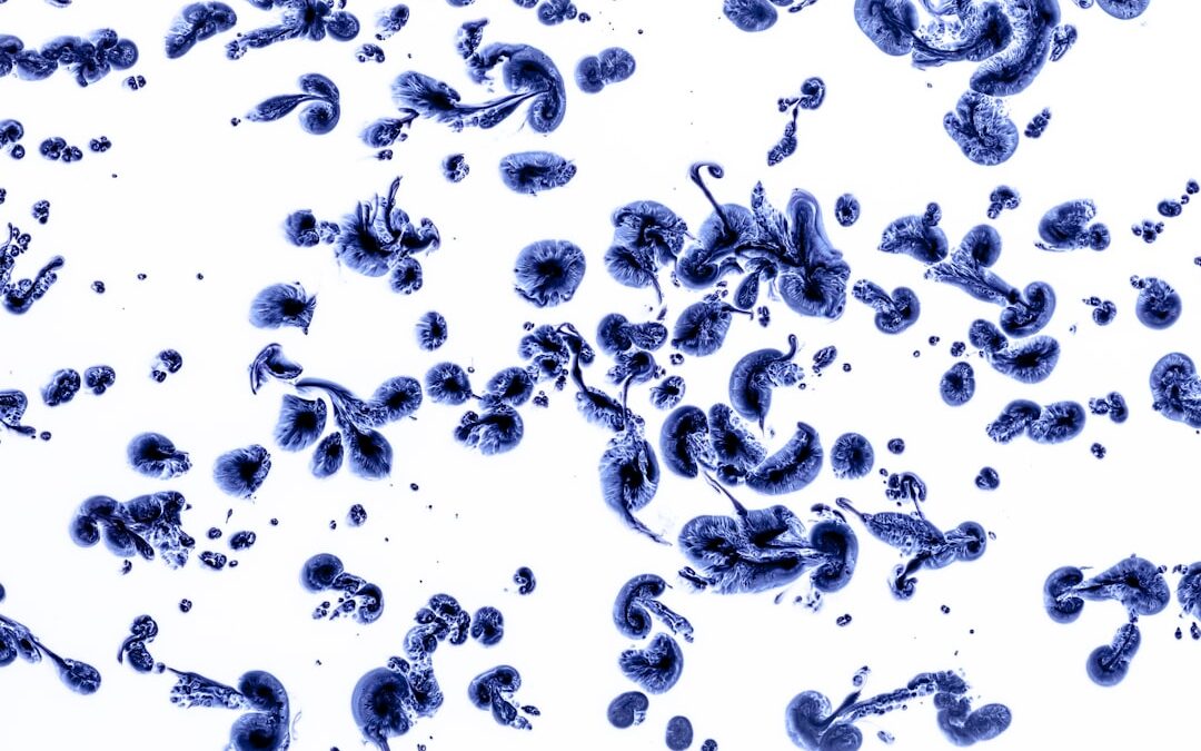 Photo Salmonella bacteria