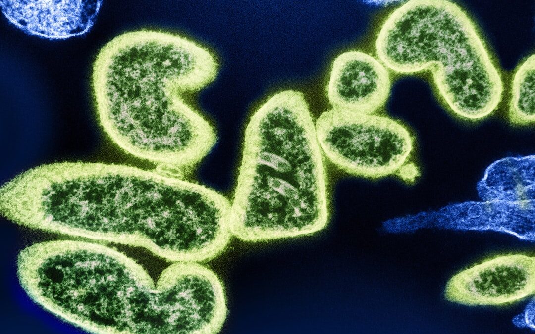 Photo Bacteria illustration