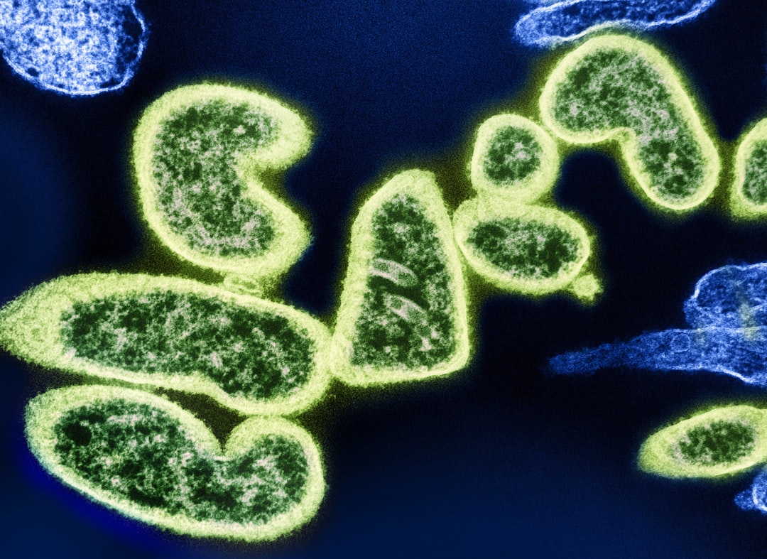 Photo Bacteria illustration
