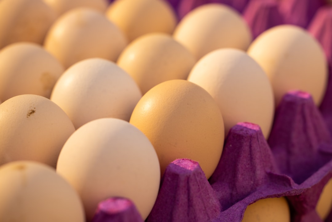 Photo raw eggs