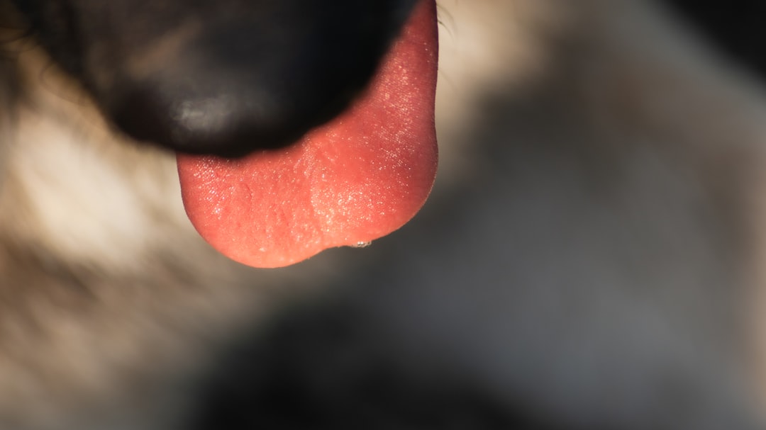 Photo Throat lozenges