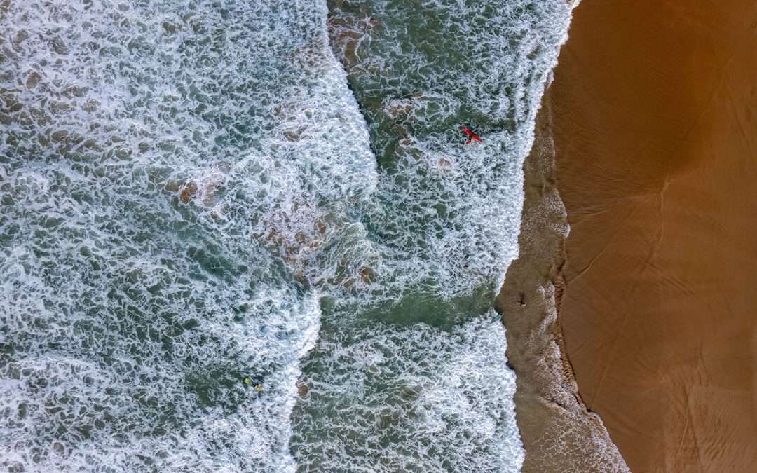 Photo Bacteria under microscope