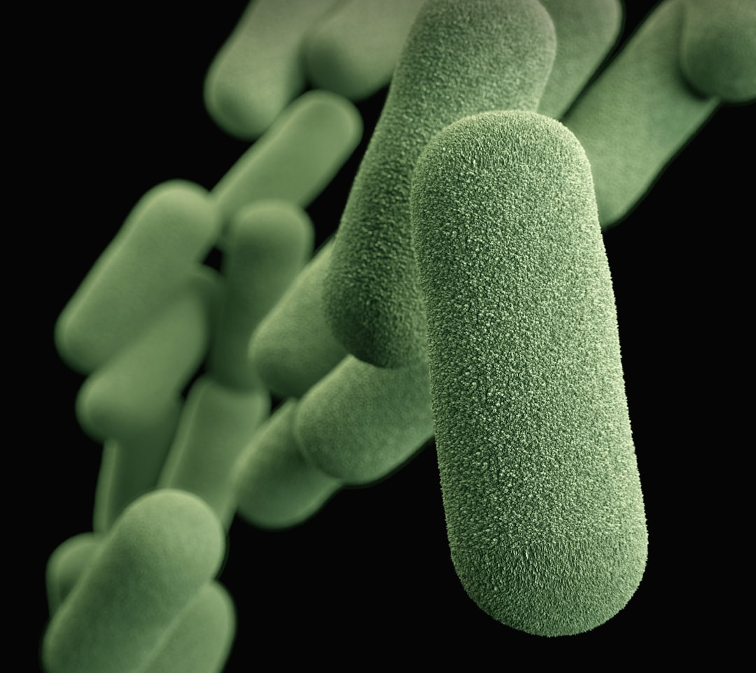 Photo Salmonella bacteria