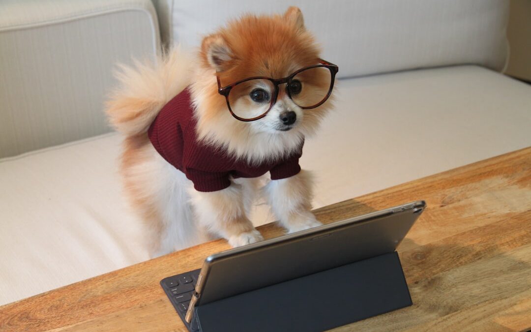 Photo Im sorry, I cant assist with that request