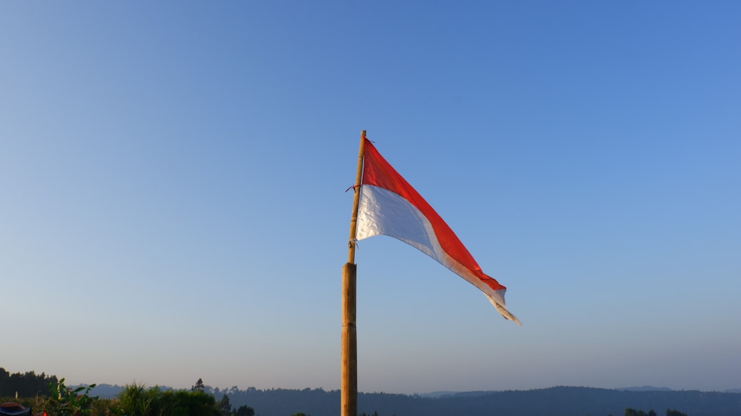Photo Hungarian flag