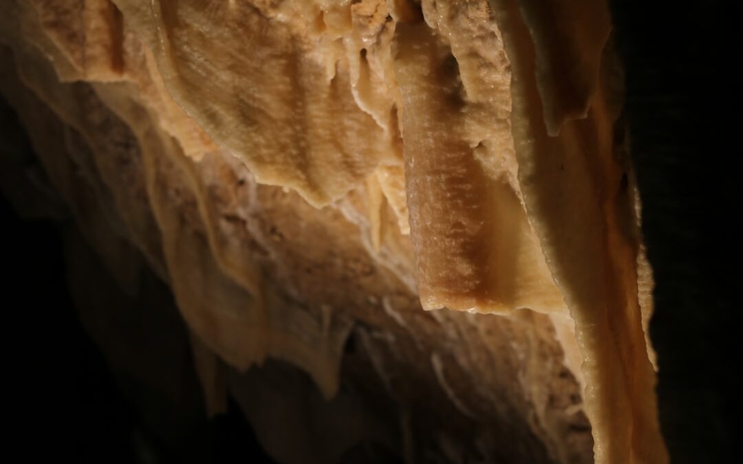 Photo Bone marrow
