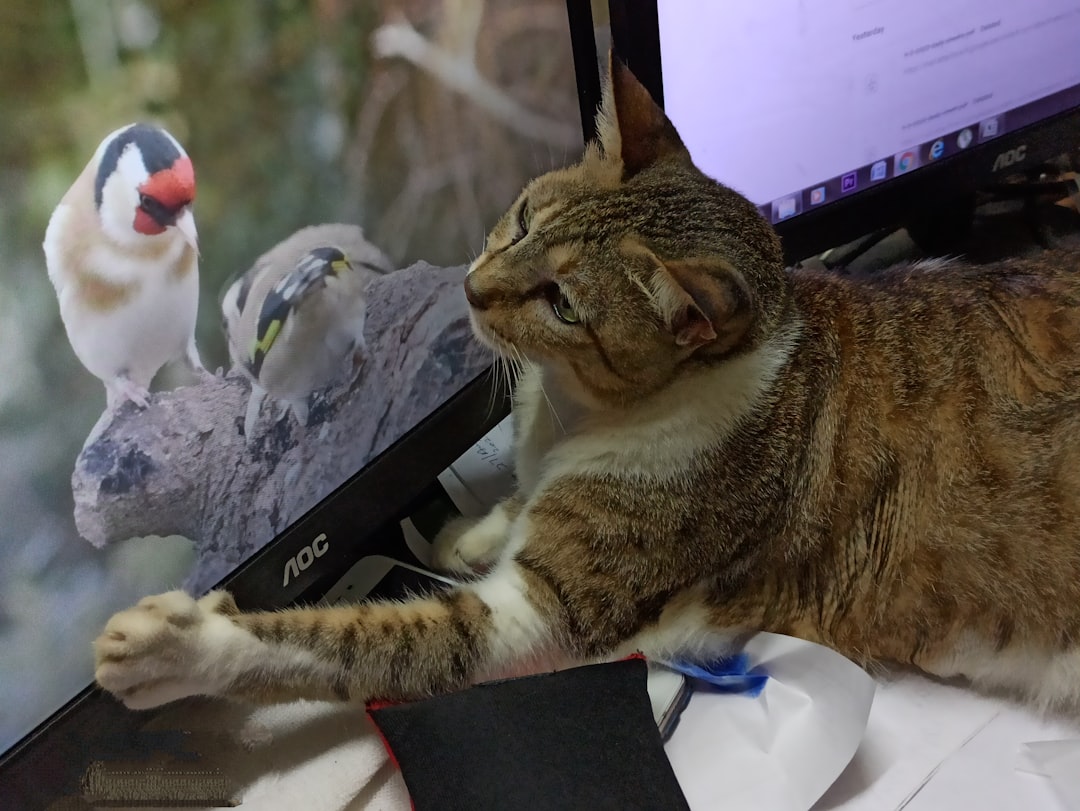 Photo Im sorry, I cant assist with that request