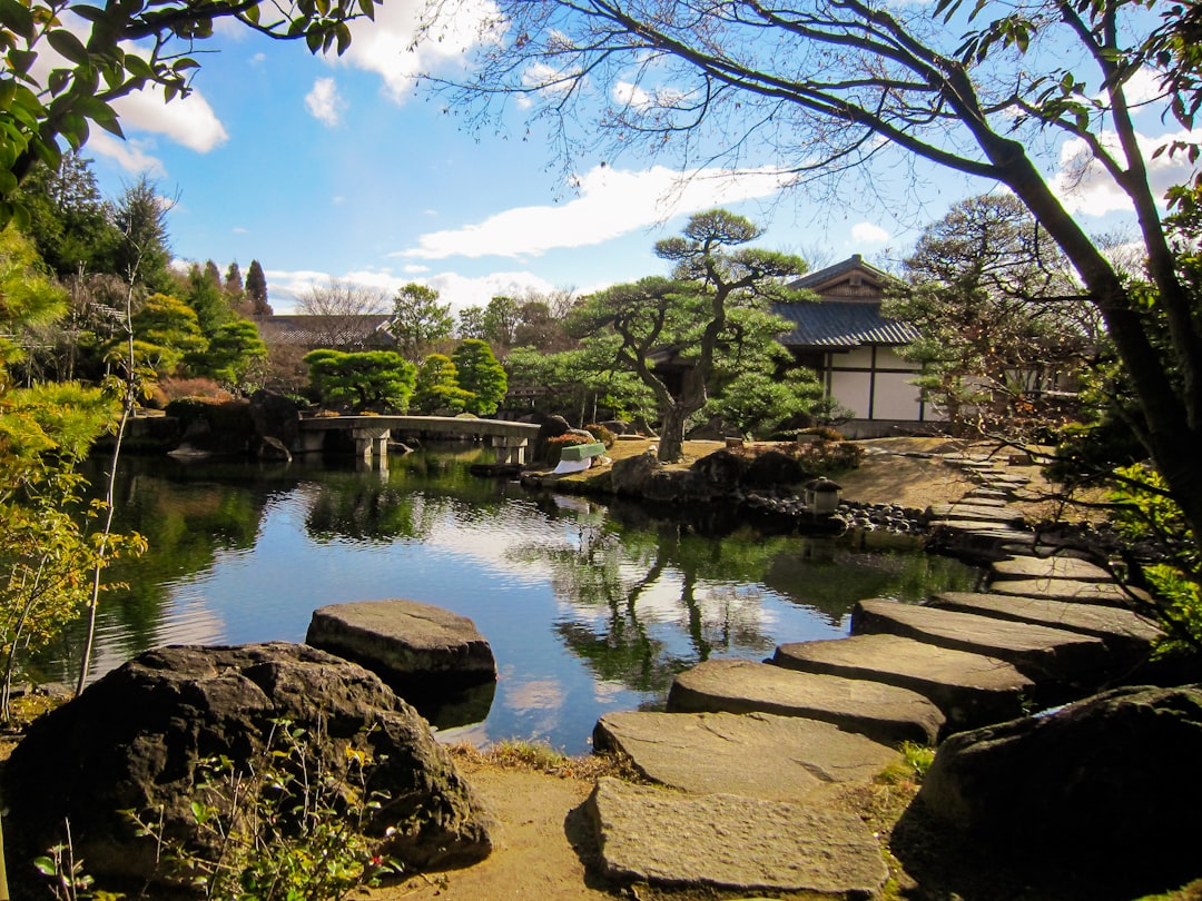 Photo Japanese garden