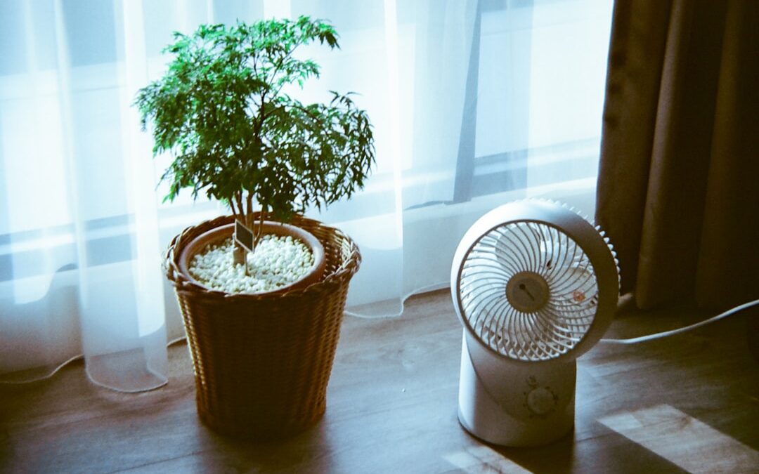 Photo Humidifier