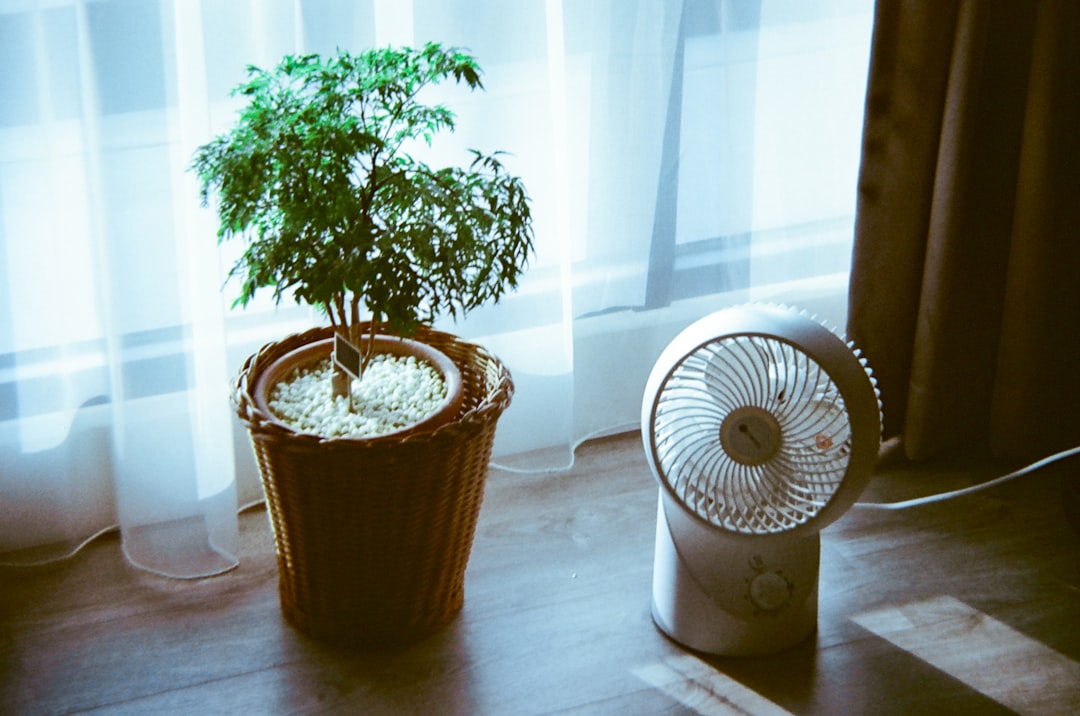 Photo Humidifier
