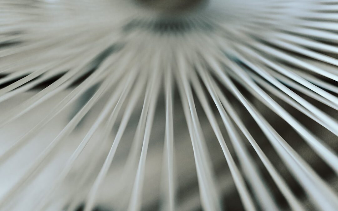 Photo Humidifier