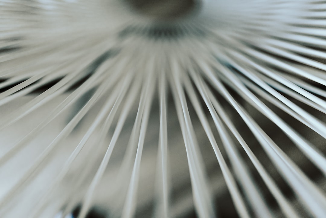Photo Humidifier